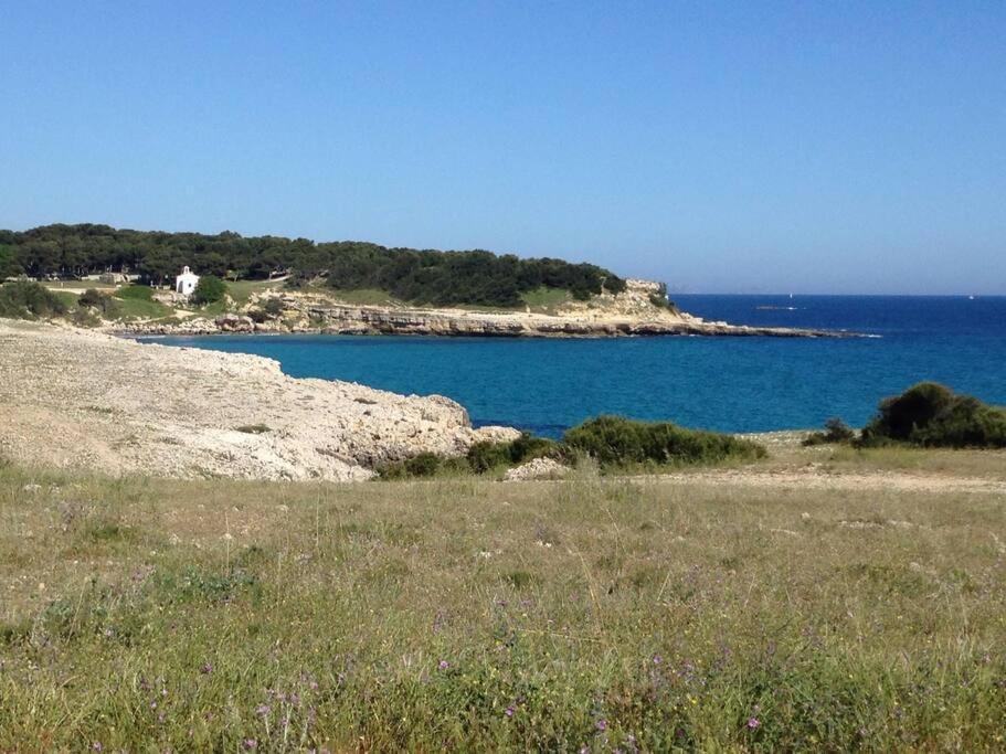 à Deux Pas De La Campeggio